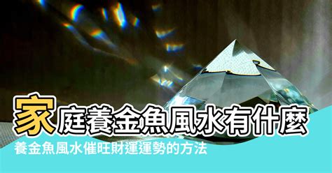 養什麼魚招財|【風水特輯】想催財就在家裡「這邊」放魚缸！養魚風。